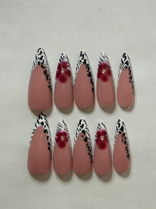Zebra Kissed